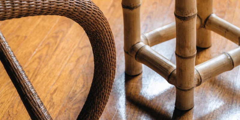 Rattan vs bamboo